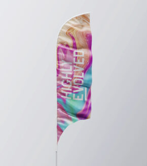 colorful feather banner with highly evolved logo