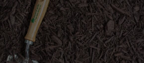 mulch
